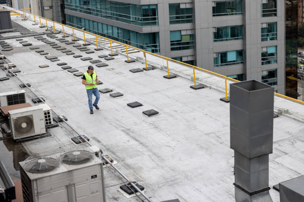 Best Rubber Roofing (EPDM, TPO)  in Lake Zurich, IL