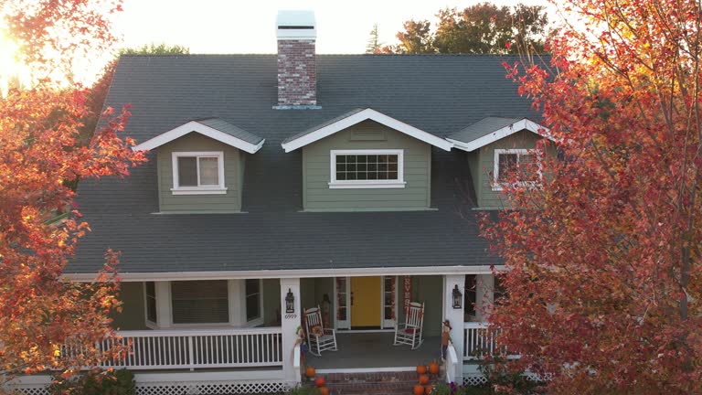 Best Roof Insulation Installation  in Lake Zurich, IL