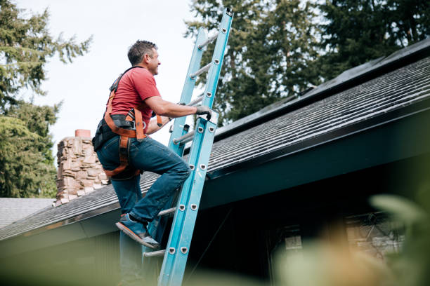 Best Slate Roofing  in Lake Zurich, IL